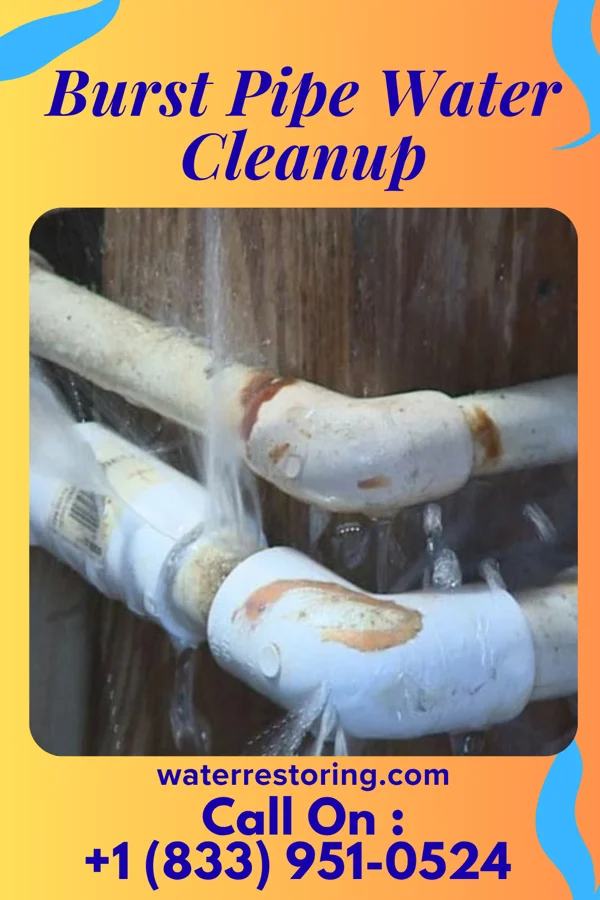 Burst Pipe Water Cleanup in Brooklyn Park, MN