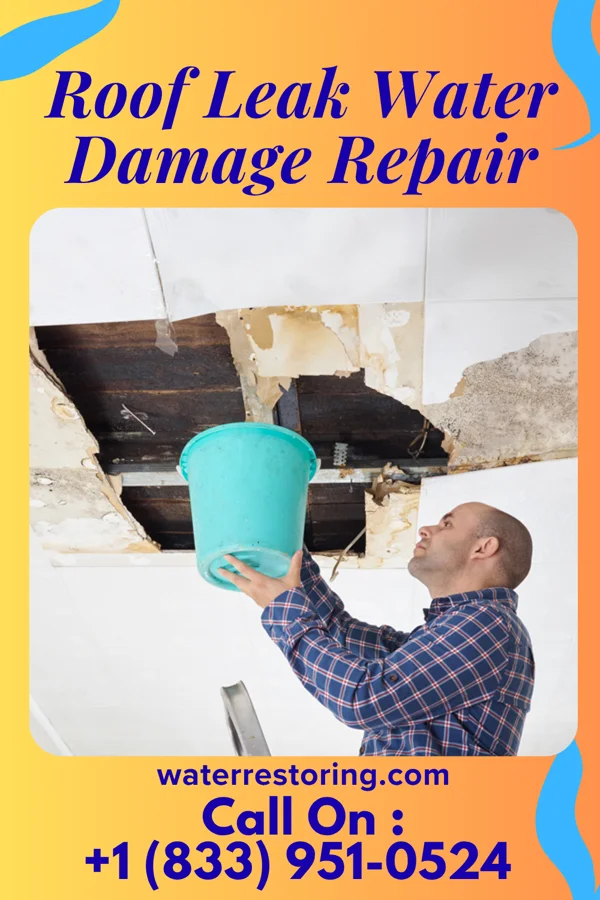 Roof Leak Water Damage Repair in Brooklyn Park, MN